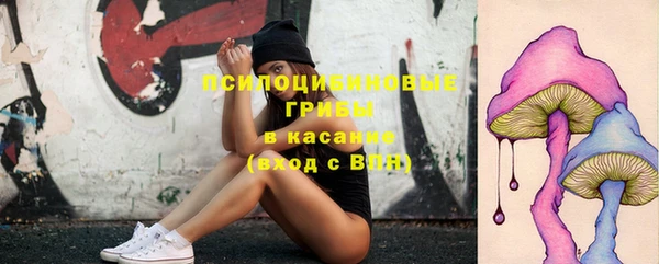 не бодяженный Аркадак