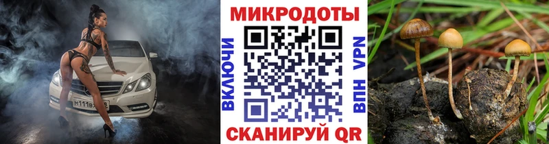 Галлюциногенные грибы Cubensis  блэк спрут ССЫЛКА  Покачи  сколько стоит 